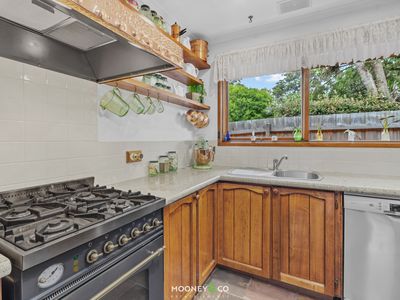 43 Holbourne Drive, Junction Village