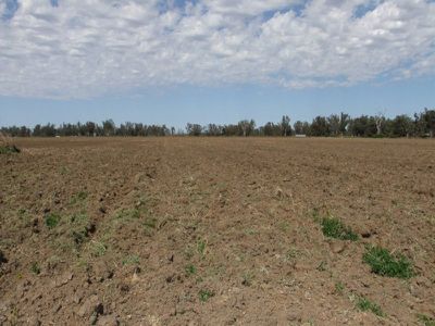 Lot 42 Orange Grove Road, Gunnedah