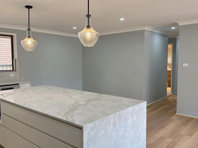 20 Enfield Close, St Johns Park