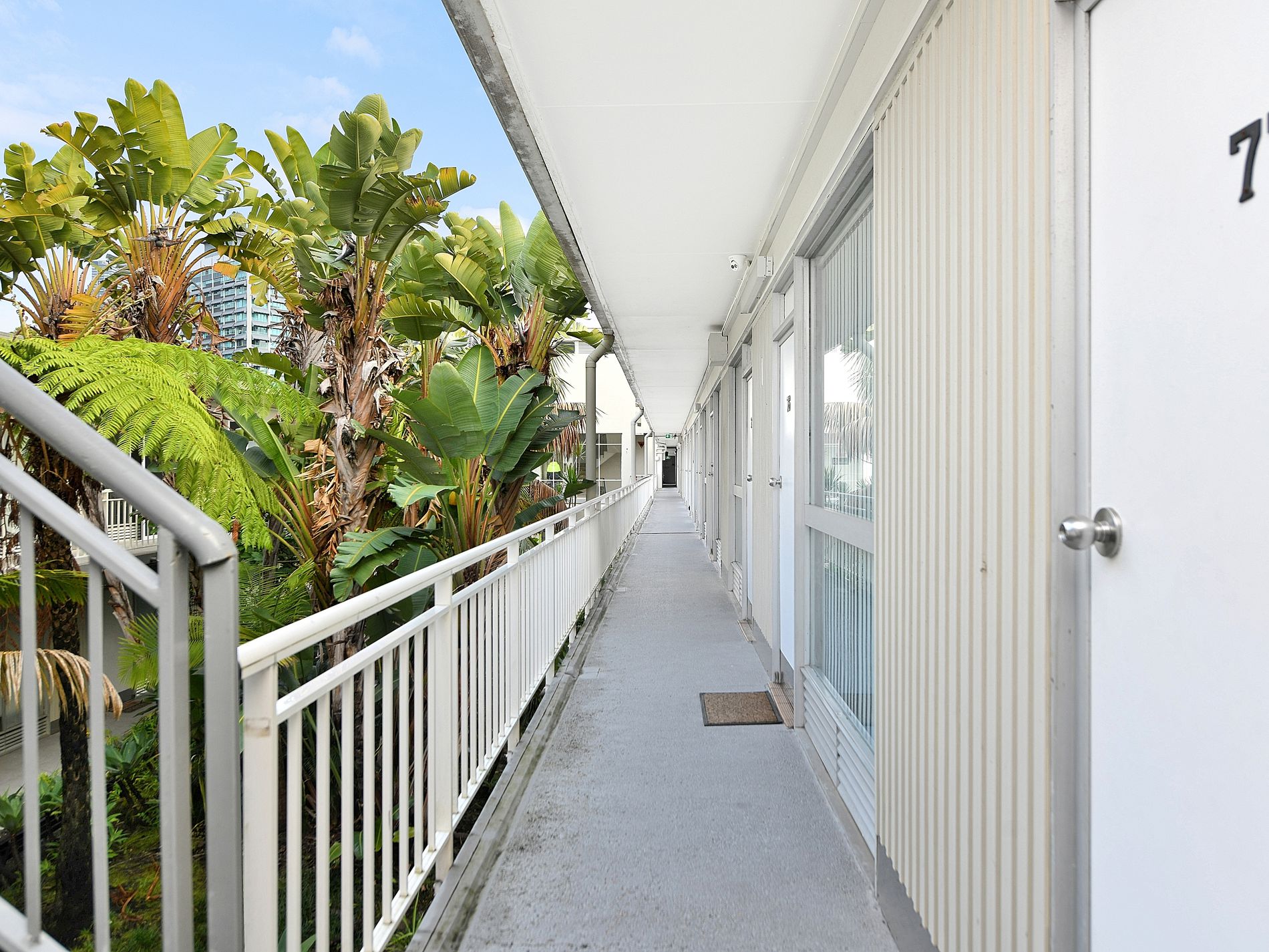 77 / 19-23 Forbes Street, Woolloomooloo