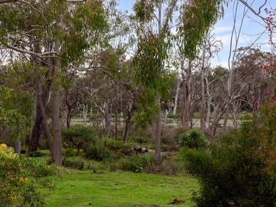 43 Pambula Beach Road, Pambula Beach