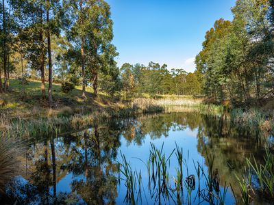 65 Doodys Hill Road, Port Huon