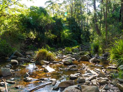 9052 Princes Highway, Tilba Tilba