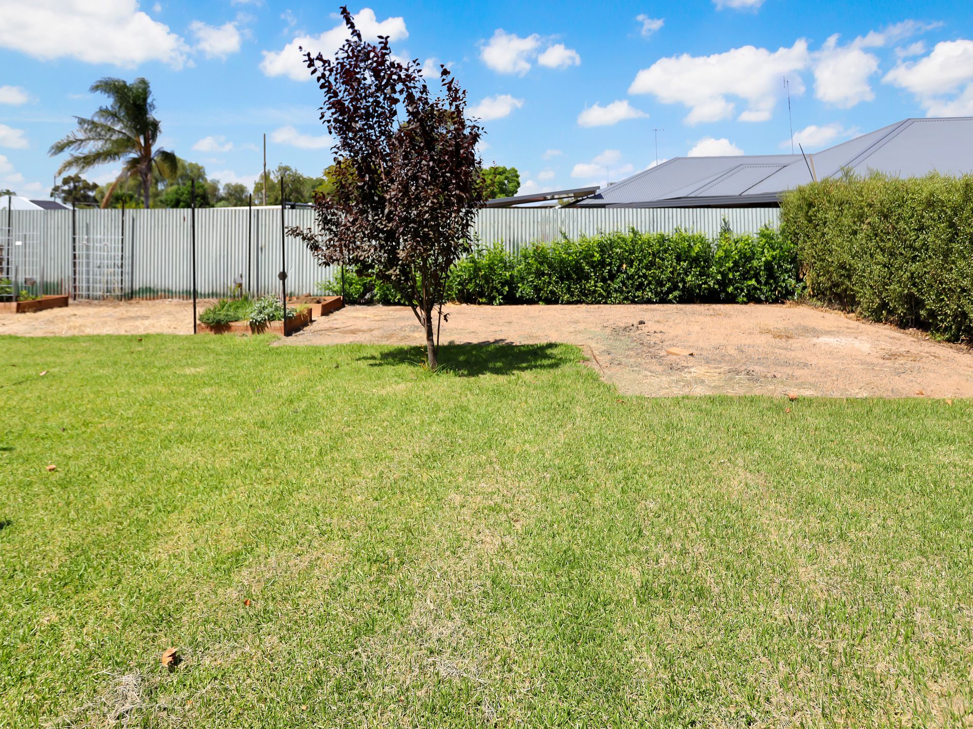 17 Regent Street, Forbes