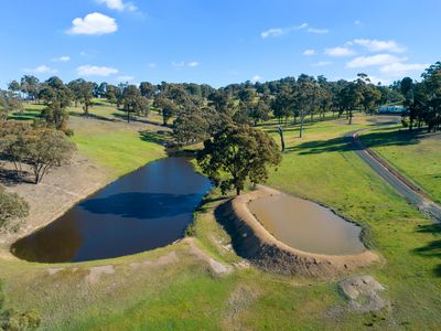 95 Daisyburn Road , Hilldene
