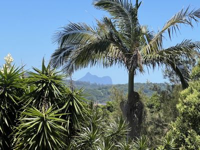 37 Lakeview Terrace, Bilambil Heights