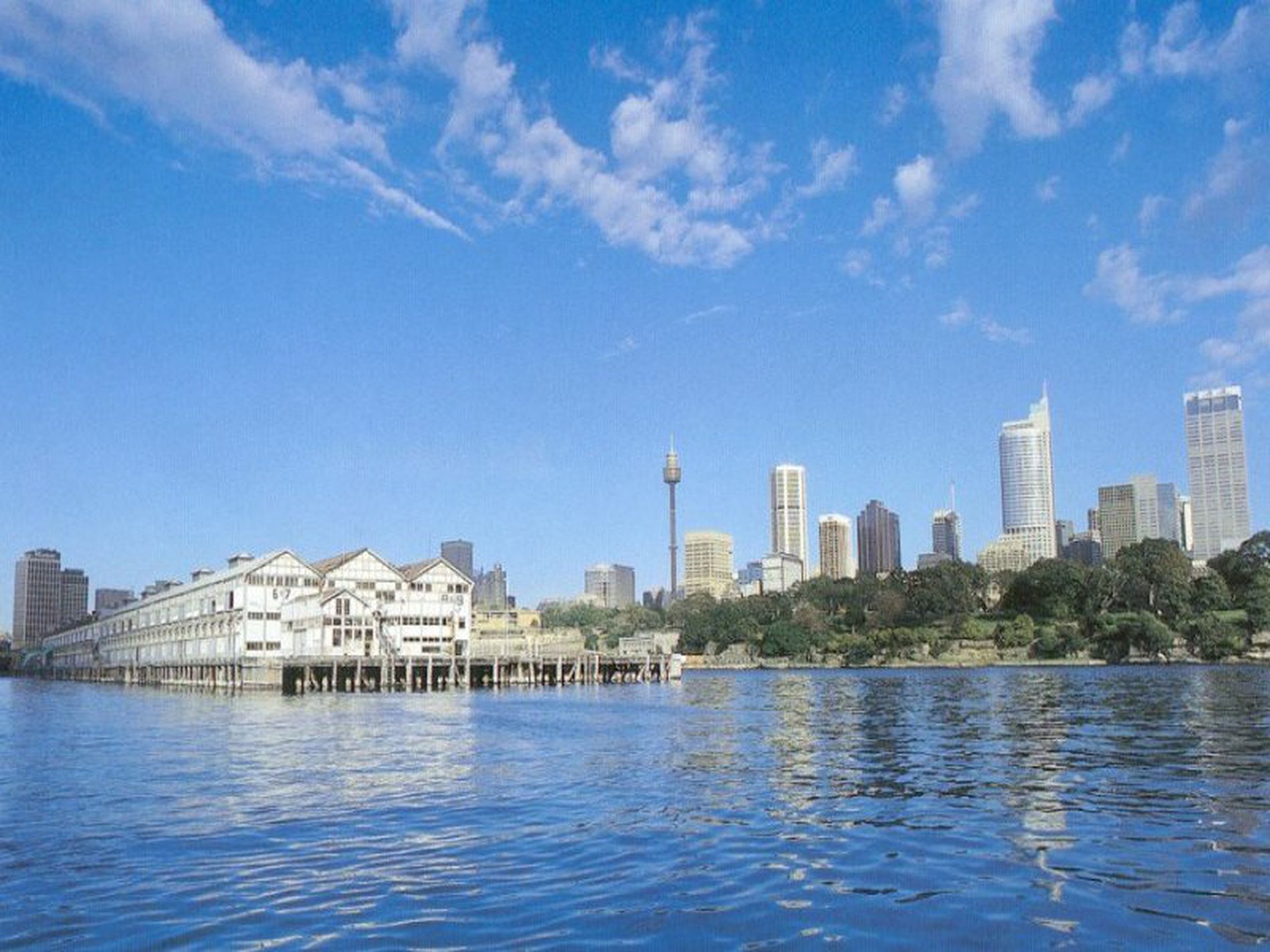 526 / 6 Cowper Wharf Road, Woolloomooloo