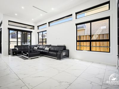 57 Ribbonwood Crescent, Marsden Park