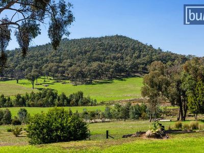 473 Switchback Road, Mudgegonga