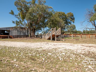 Lot 7, - Emmaville Rd, Emmaville