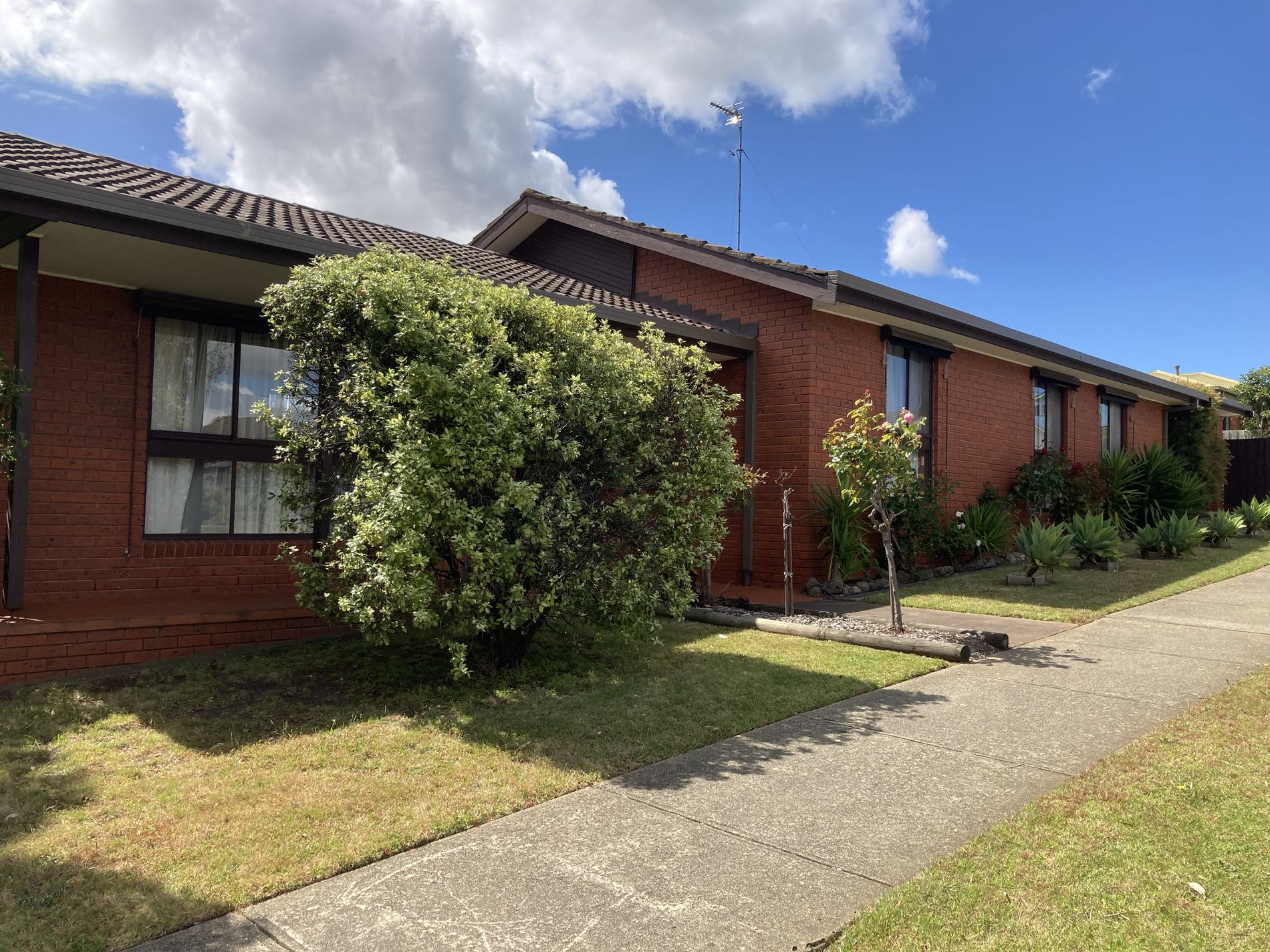 33 Allambee Avenue, Grovedale