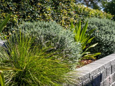 55 Mataram Road, Woongarrah