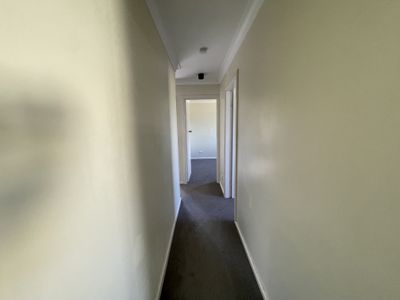 19 Terry Street, Tamworth