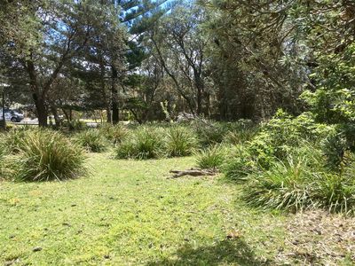 71 Kurrawa Drive, Kioloa