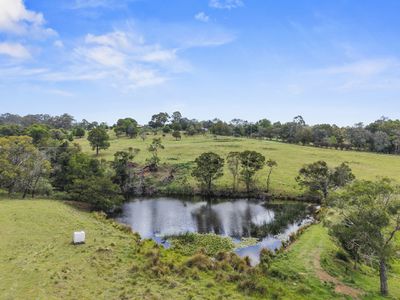 107 Lilyvale Place, Narooma