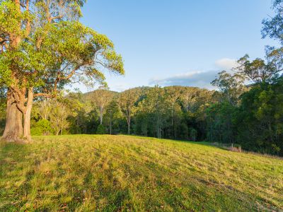 931 Eumundi Kenilworth Road, Belli Park