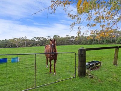1309 Peats Ridge Road, Peats Ridge