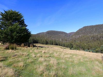 100 Crosswells Road, Pelverata