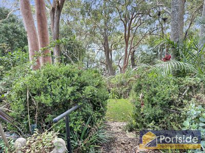 59 James Scott Crescent, Lemon Tree Passage