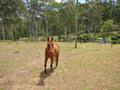 313 Back Creek Road, Lochiel