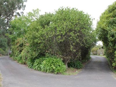 1210 Nowra Road, Fitzroy Falls