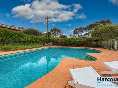 17 Hatfield Street, Evatt