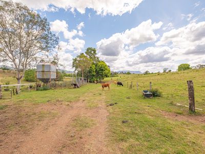 47 TAMLYN ROAD, Kenilworth