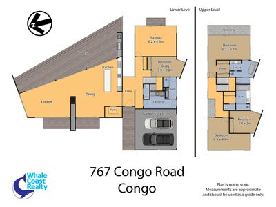 767 Congo Road, Congo