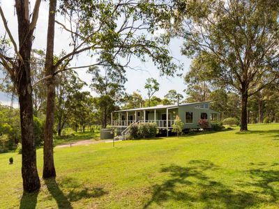 Blackbutt
