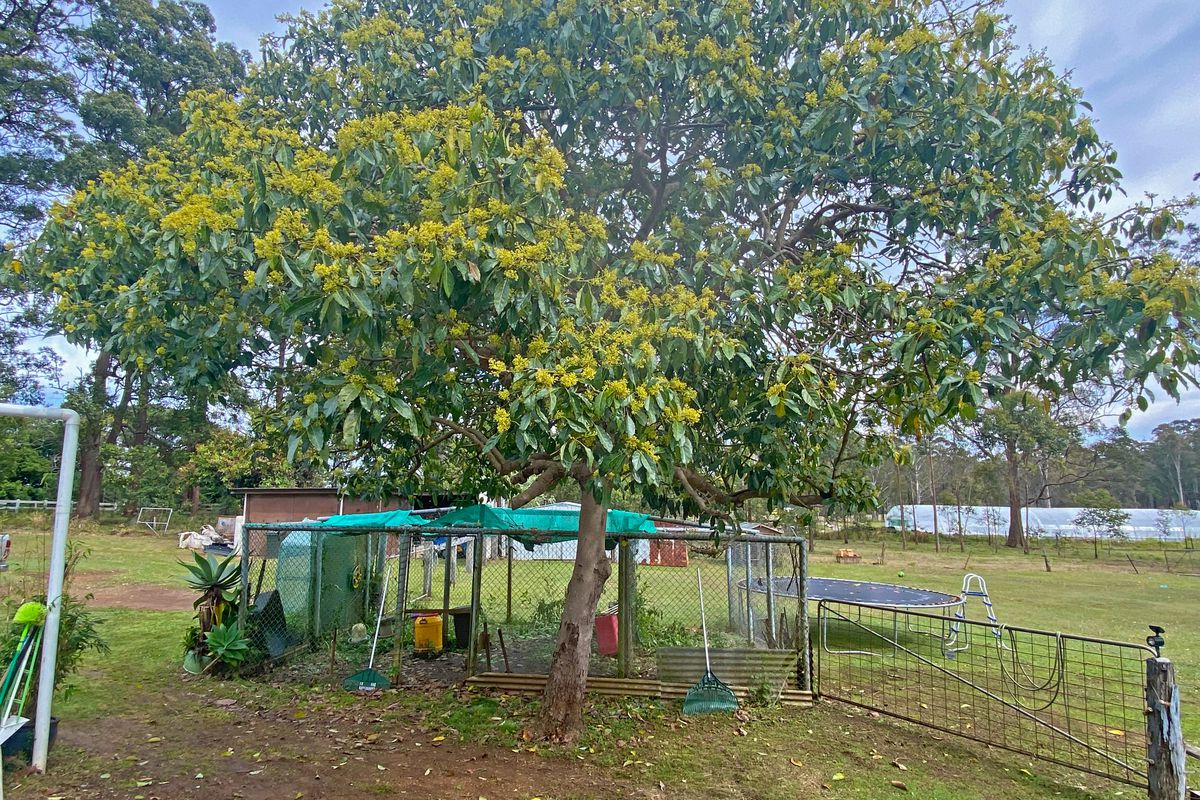 102 McDonell Crescent, Kundle Kundle