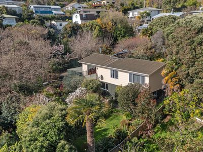 52 Stansell Avenue, Tahunanui