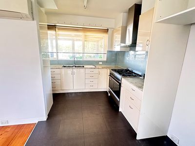 5 Primula Street, Blackburn North