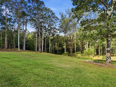 29 Murphys Road, Upper Corindi