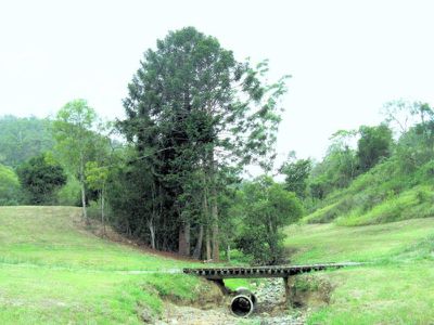 Lot 2, Upper Cedar Creek Road, Maleny