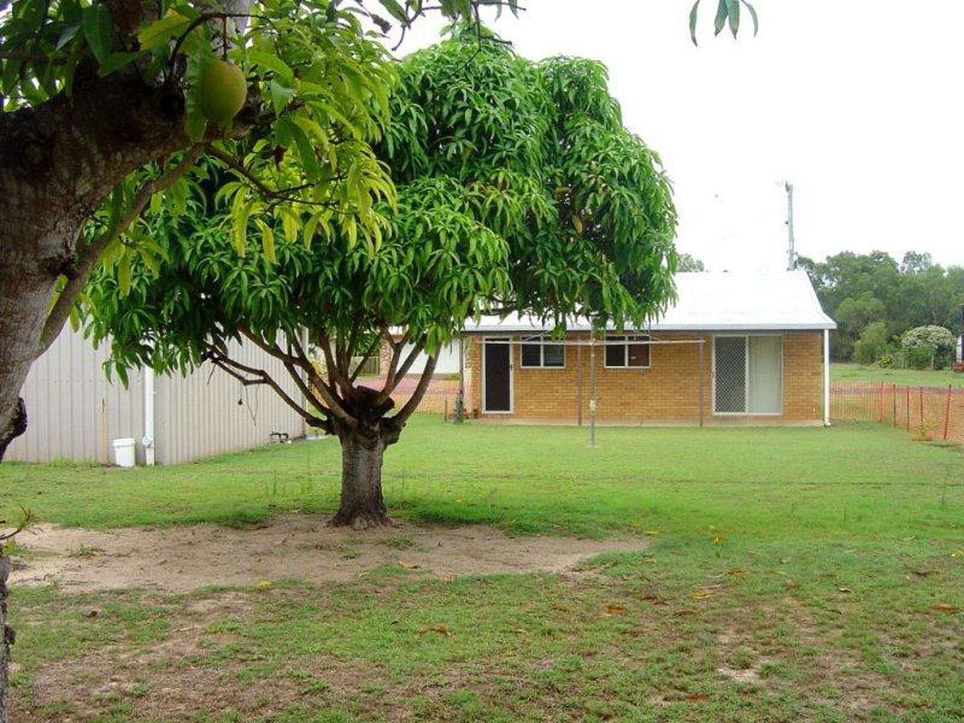8 Emperor St, Woodgate