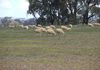 198 Barragan Road, Cargo