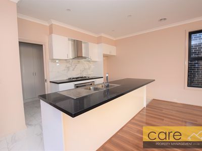 15 STATURE AVENUE, Clyde North