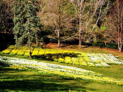 25 Pinchoff Lane, Mount Macedon