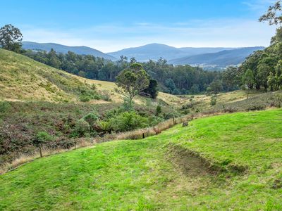 60 Sunny Hills Road, Glen Huon