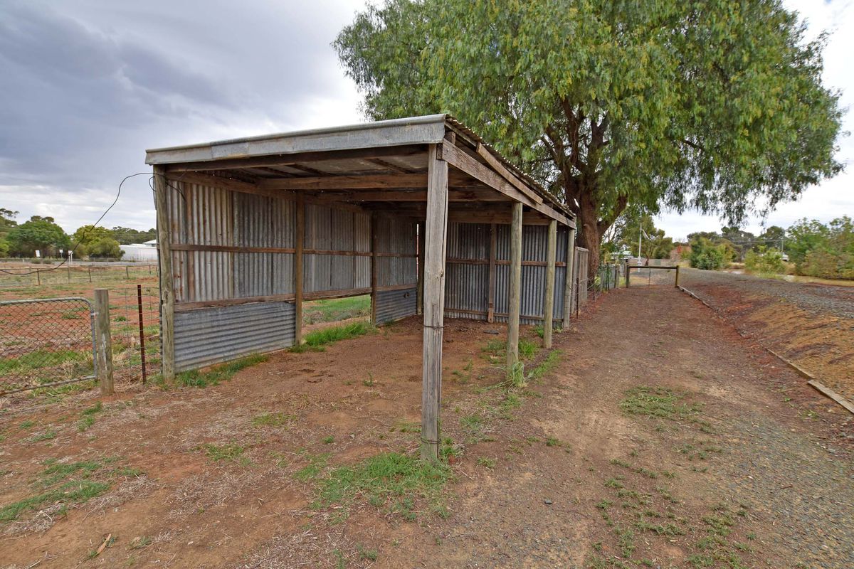 161 Waverley Avenue, Merrigum