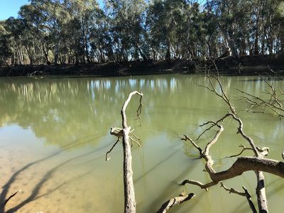 2 / Murray Road, Murrabit