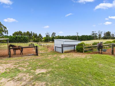 29666 Princes Highway, Glenburnie