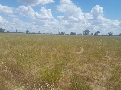 6897 Riverina Highway, Hopefield