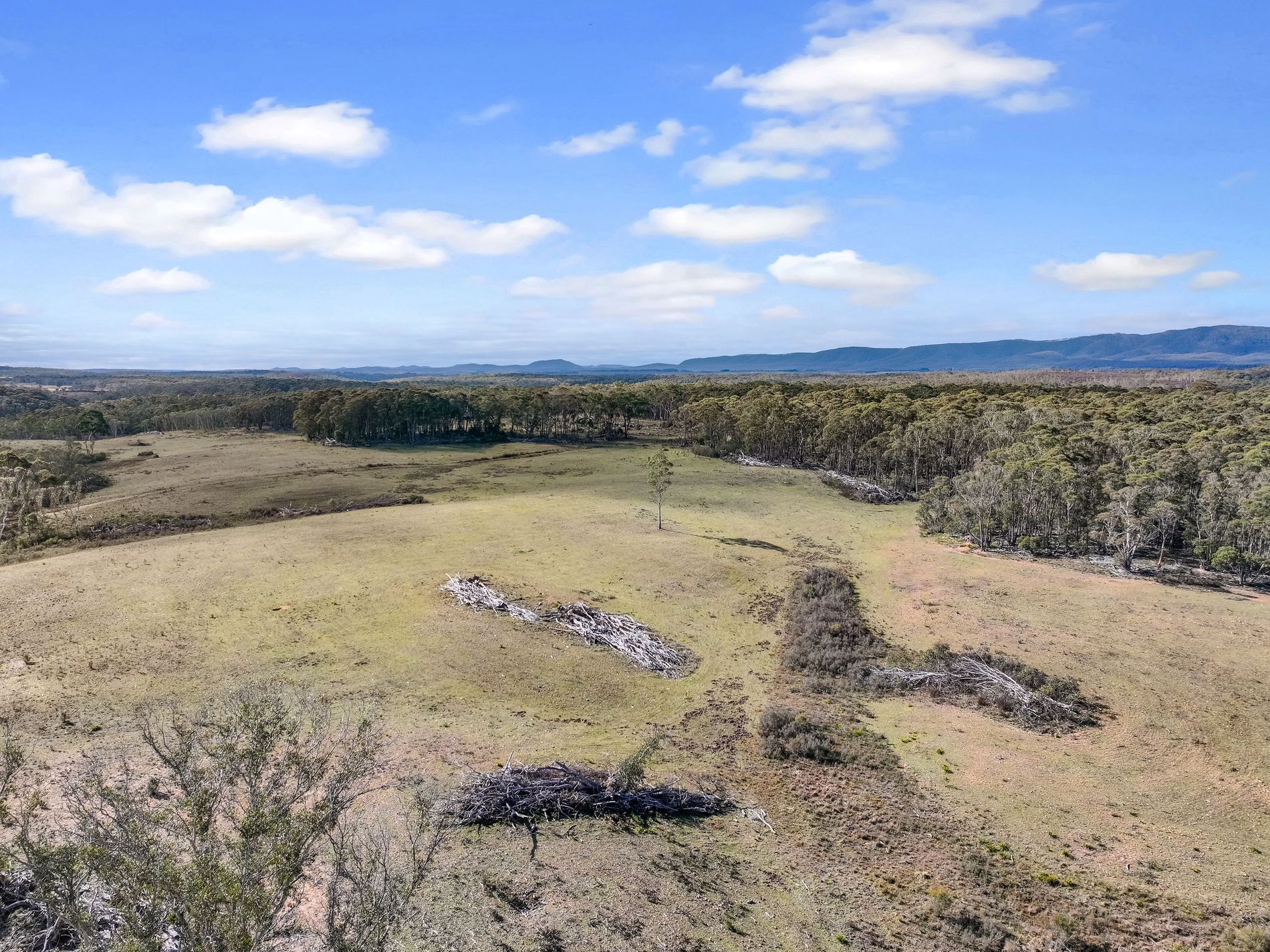 Lot 193 / 443 Back Creek Road, Mongarlowe