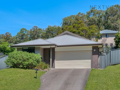 17 Wedgetail Street, Fletcher