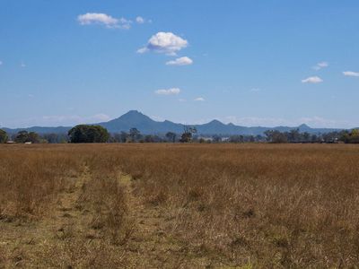 Veresdale Scrub