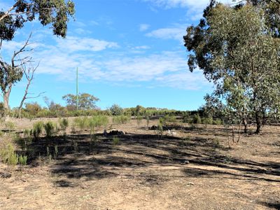 Lot 19J, Mt Camel-Graytown Road, Redcastle