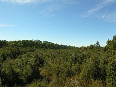 7736 Huon Highway, Strathblane