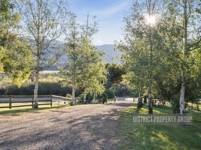 3165 Mansfield Woods Point Road, Jamieson