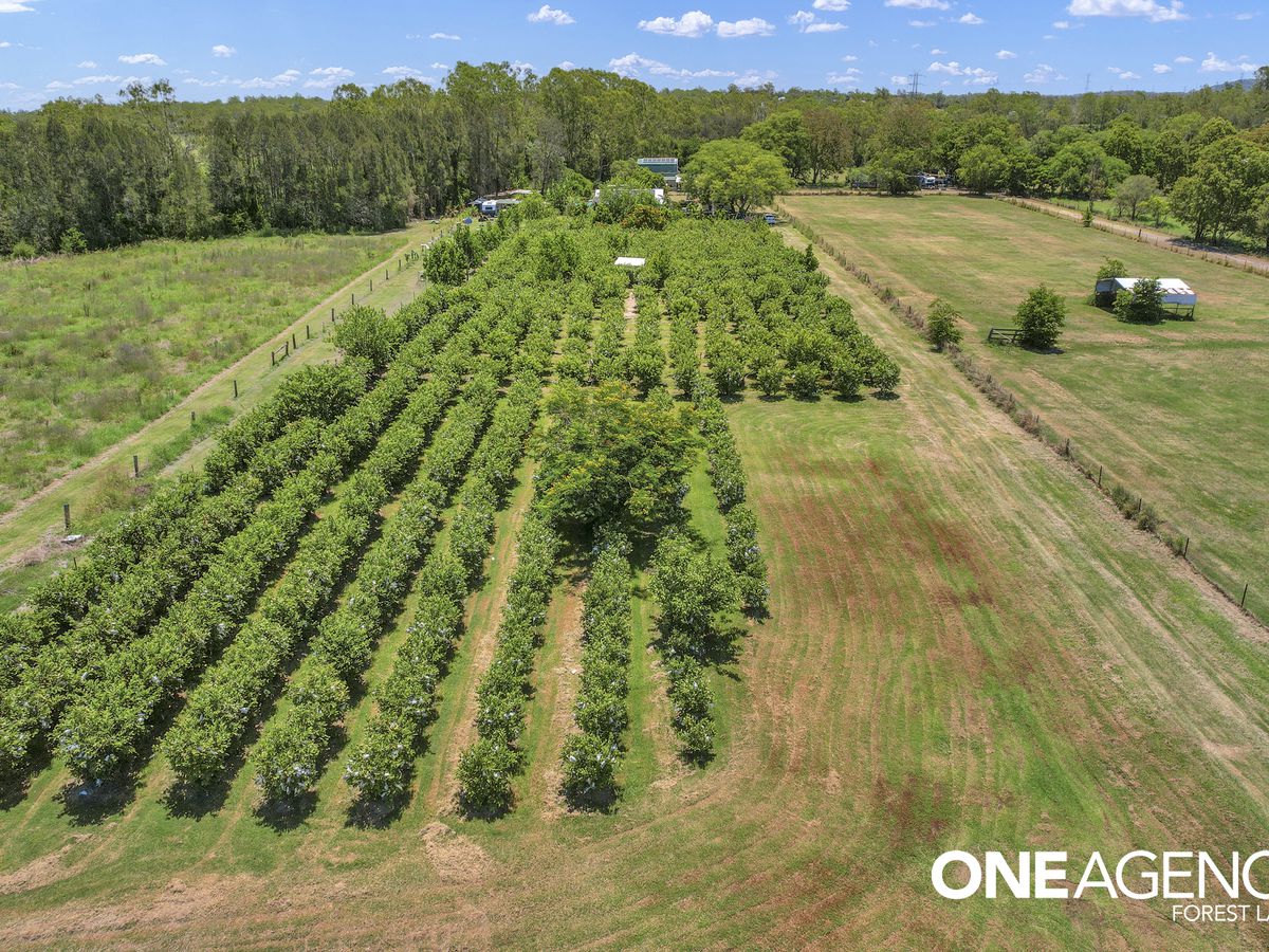 47 Keith Street, Bundamba